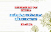 Phản ứng tráng bạc (tráng gương) của fructozơ? Hỏi nhanh đáp gọn môn Hóa